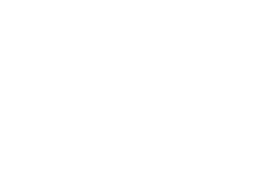 Tactica X